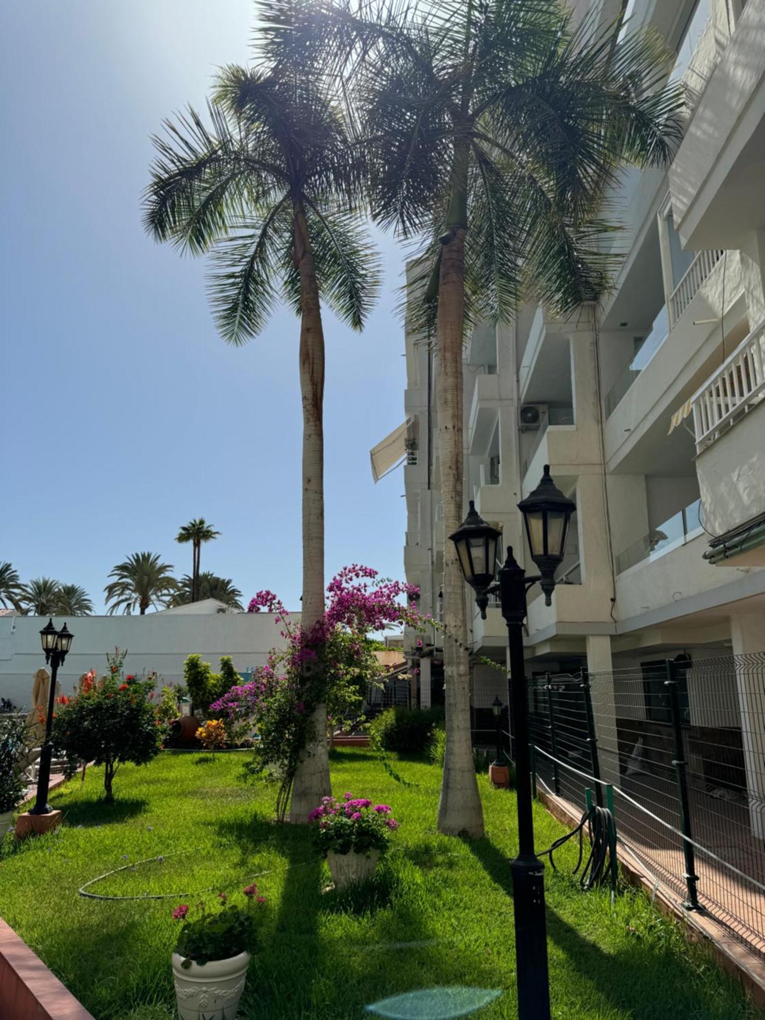 Apartamento Reformado En Apartamentos Tanife, Playa Del Ingles San Bartolomé Eksteriør billede