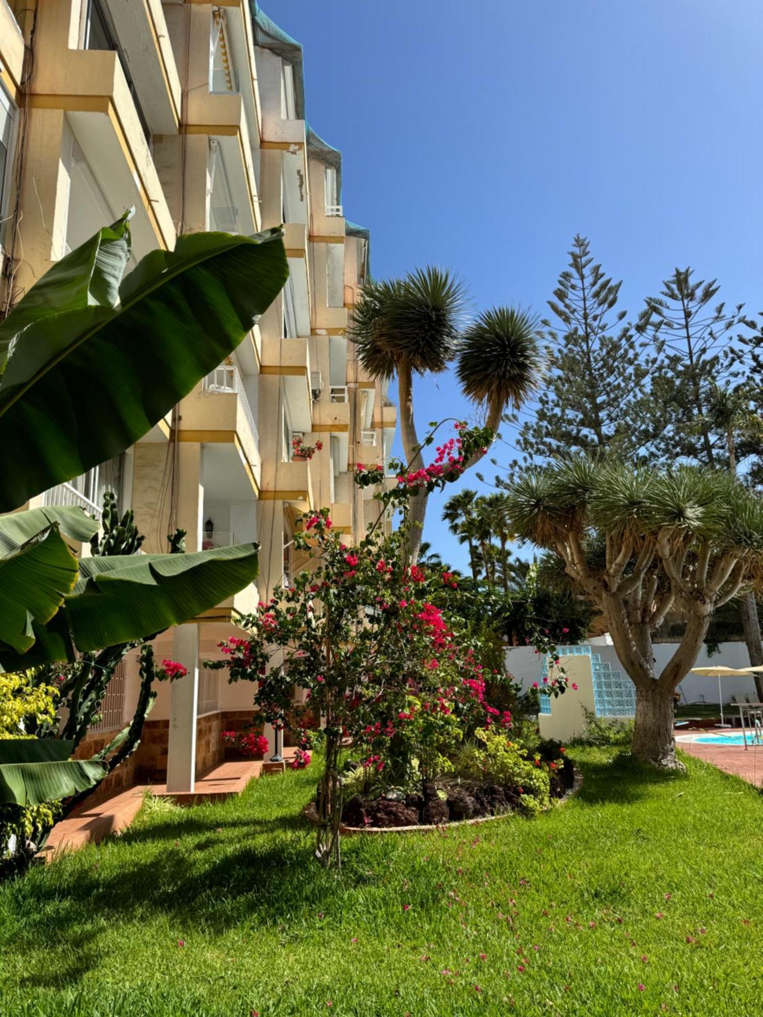 Apartamento Reformado En Apartamentos Tanife, Playa Del Ingles San Bartolomé Eksteriør billede
